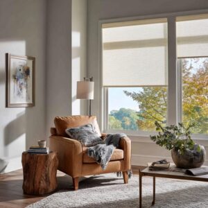 Cozy living room with modern roller window shades and soft natural light. 